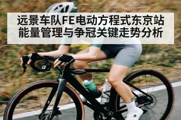 远景车队FE电动方程式东京站能量管理与争冠关键走势分析